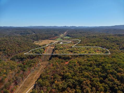 0 Robert Miller Lane Mineral Bluff GA 30559