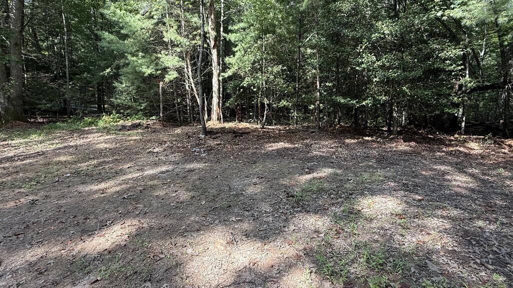 6 River Ridge Road Blue Ridge GA 30513