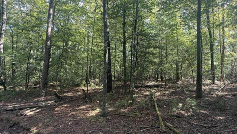 6 River Ridge Road Blue Ridge GA 30513