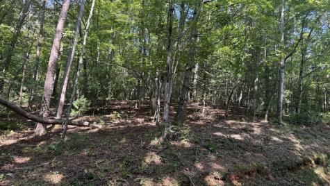 6 River Ridge Road Blue Ridge GA 30513