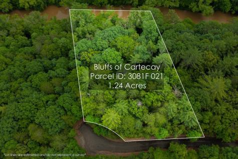 Lot 21 Aspen Avenue Ellijay GA 30540