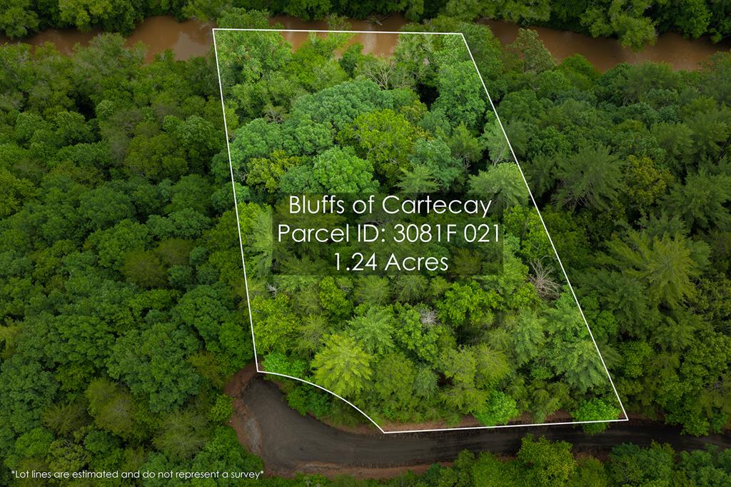 Lot 21 Aspen Avenue Ellijay GA 30540