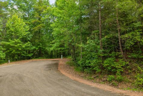 Lot 21 Aspen Avenue Ellijay GA 30540