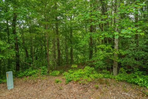 Lot 21 Aspen Avenue Ellijay GA 30540