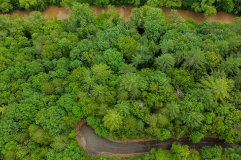 Lot 21 Aspen Avenue Ellijay GA 30540