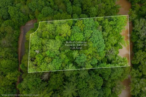Lot 21 Aspen Avenue Ellijay GA 30540