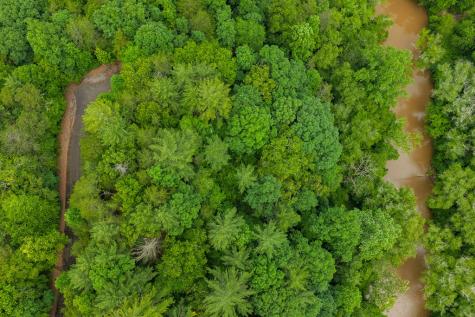 Lot 21 Aspen Avenue Ellijay GA 30540