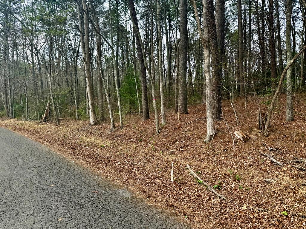 0 Nicholson Circle Turtletown TN 37391