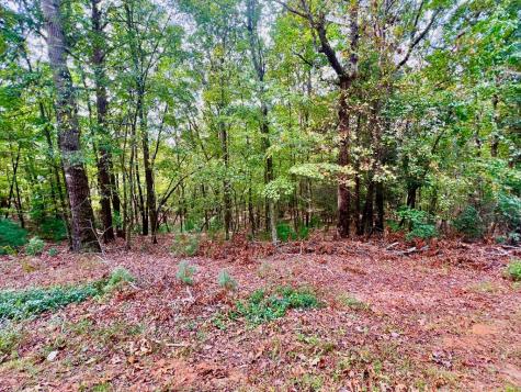 298 Etowah Drive Ellijay GA 30540