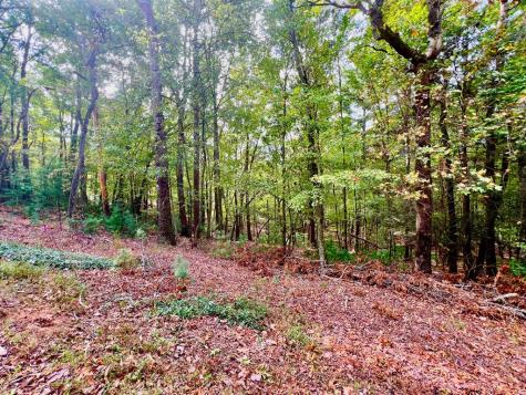 298 Etowah Drive Ellijay GA 30540