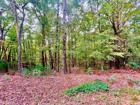 298 Etowah Drive Ellijay GA 30540