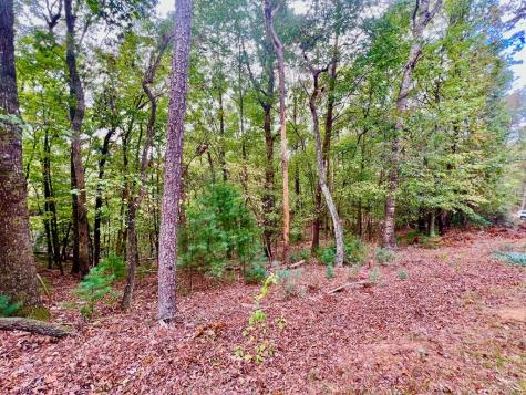 298 Etowah Drive Ellijay GA 30540