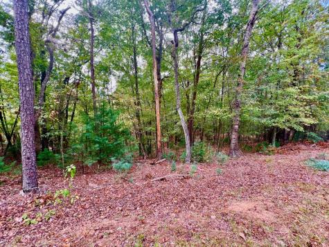 298 Etowah Drive Ellijay GA 30540