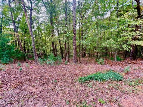 298 Etowah Drive Ellijay GA 30540