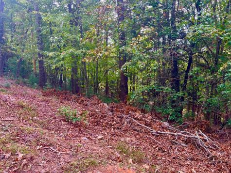 298 Etowah Drive Ellijay GA 30540