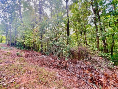 298 Etowah Drive Ellijay GA 30540