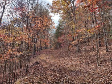 Lt 6 & 7 Cub Drive Mineral Bluff GA 30559