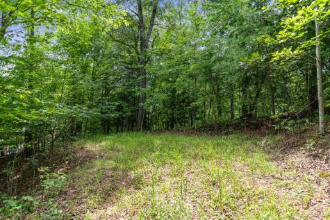 Lt 6 & 7 Cub Drive Mineral Bluff GA 30559