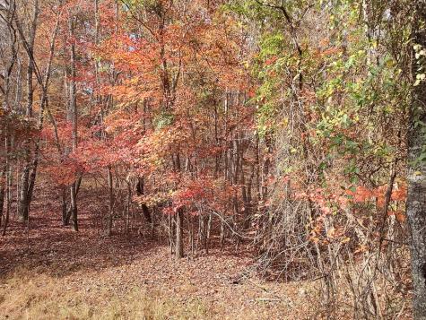 Lt 6 & 7 Cub Drive Mineral Bluff GA 30559