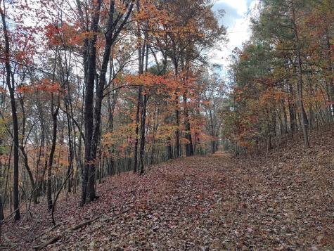 Lt 6 & 7 Cub Drive Mineral Bluff GA 30559