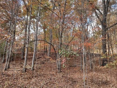 Lt 6 & 7 Cub Drive Mineral Bluff GA 30559