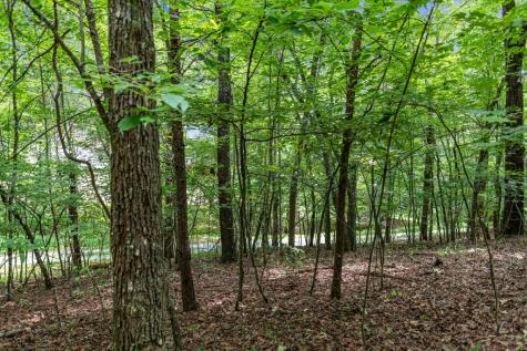 Lt 6 & 7 Cub Drive Mineral Bluff GA 30559