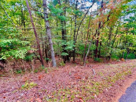 577 Tonto Drive Ellijay GA 30540
