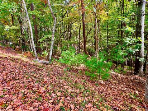 577 Tonto Drive Ellijay GA 30540