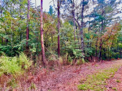 577 Tonto Drive Ellijay GA 30540