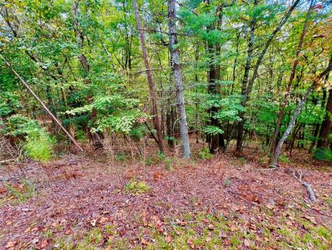 577 Tonto Drive Ellijay GA 30540