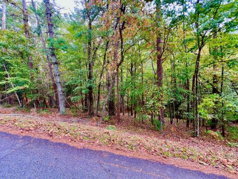 577 Tonto Drive Ellijay GA 30540