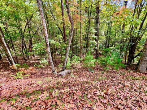 577 Tonto Drive Ellijay GA 30540