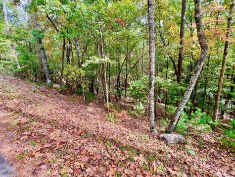 577 Tonto Drive Ellijay GA 30540