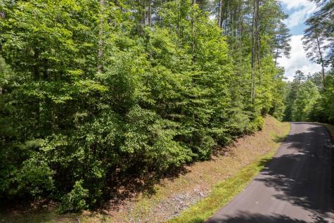 Tbd Spectacular Hayesville NC 28904