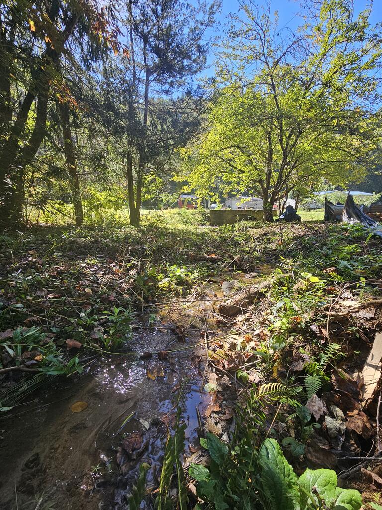 3563 Owl Creek Murphy NC 28906