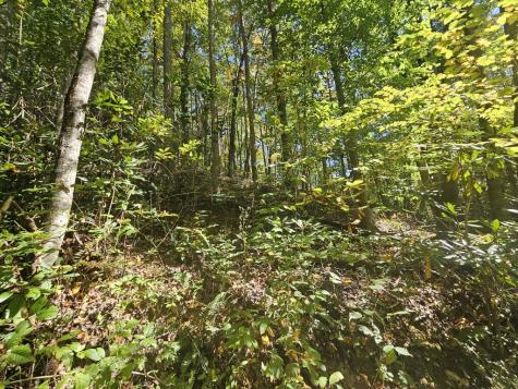 3563 Owl Creek Murphy NC 28906
