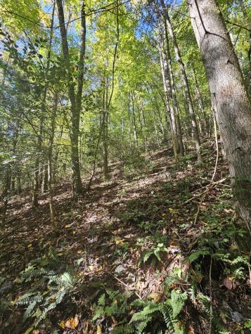 3563 Owl Creek Murphy NC 28906