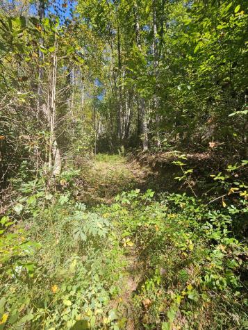 3563 Owl Creek Murphy NC 28906