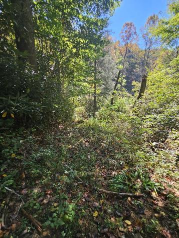 3563 Owl Creek Murphy NC 28906