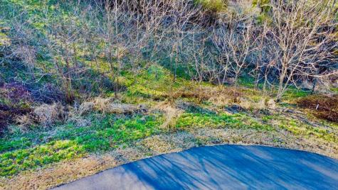 16 Anns Way Blairsville GA 30512