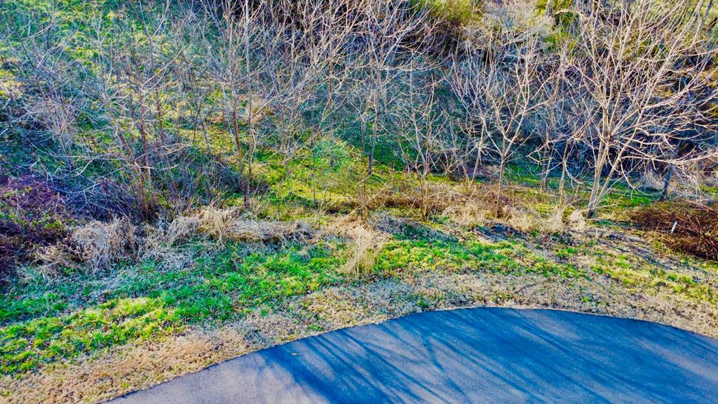 16 Anns Way Blairsville GA 30512