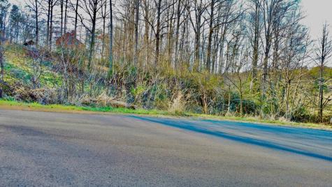 16 Anns Way Blairsville GA 30512