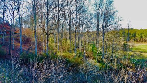 16 Anns Way Blairsville GA 30512