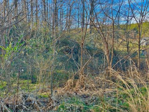 16 Anns Way Blairsville GA 30512