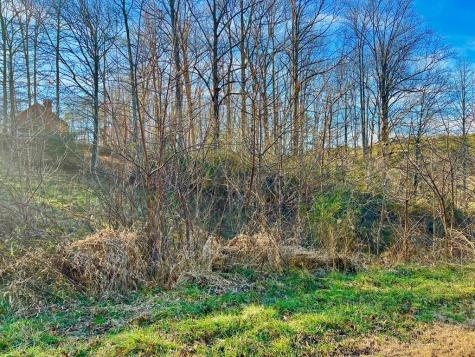 16 Anns Way Blairsville GA 30512