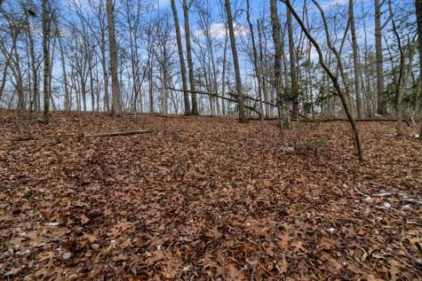 TR4 Curtis Ridge Road Blue Ridge GA 30513