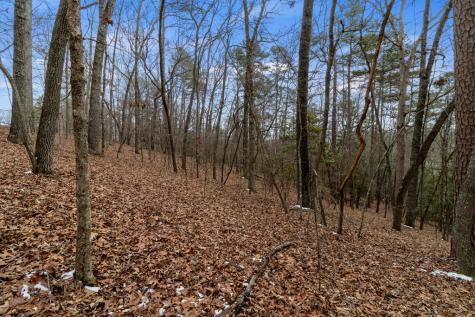 TR4 Curtis Ridge Road Blue Ridge GA 30513