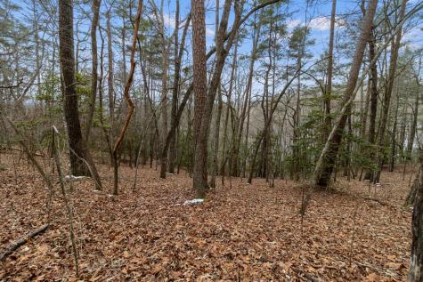 TR4 Curtis Ridge Road Blue Ridge GA 30513