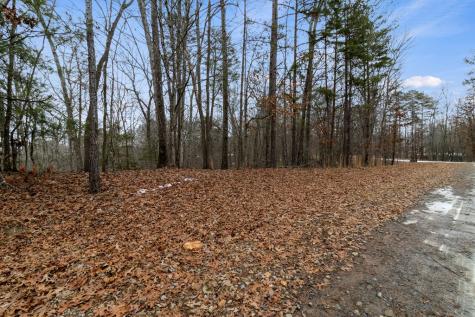 TR4 Curtis Ridge Road Blue Ridge GA 30513