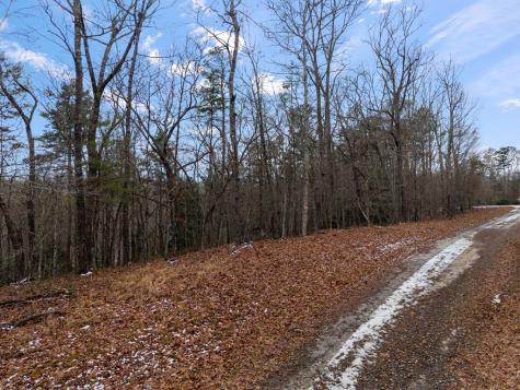 TR4 Curtis Ridge Road Blue Ridge GA 30513